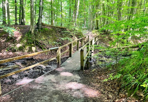 0702 Rügen Kreidefelsen